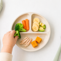 introdução alimentar